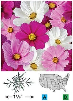 Cosmos - 3213 – Wildseed Farms