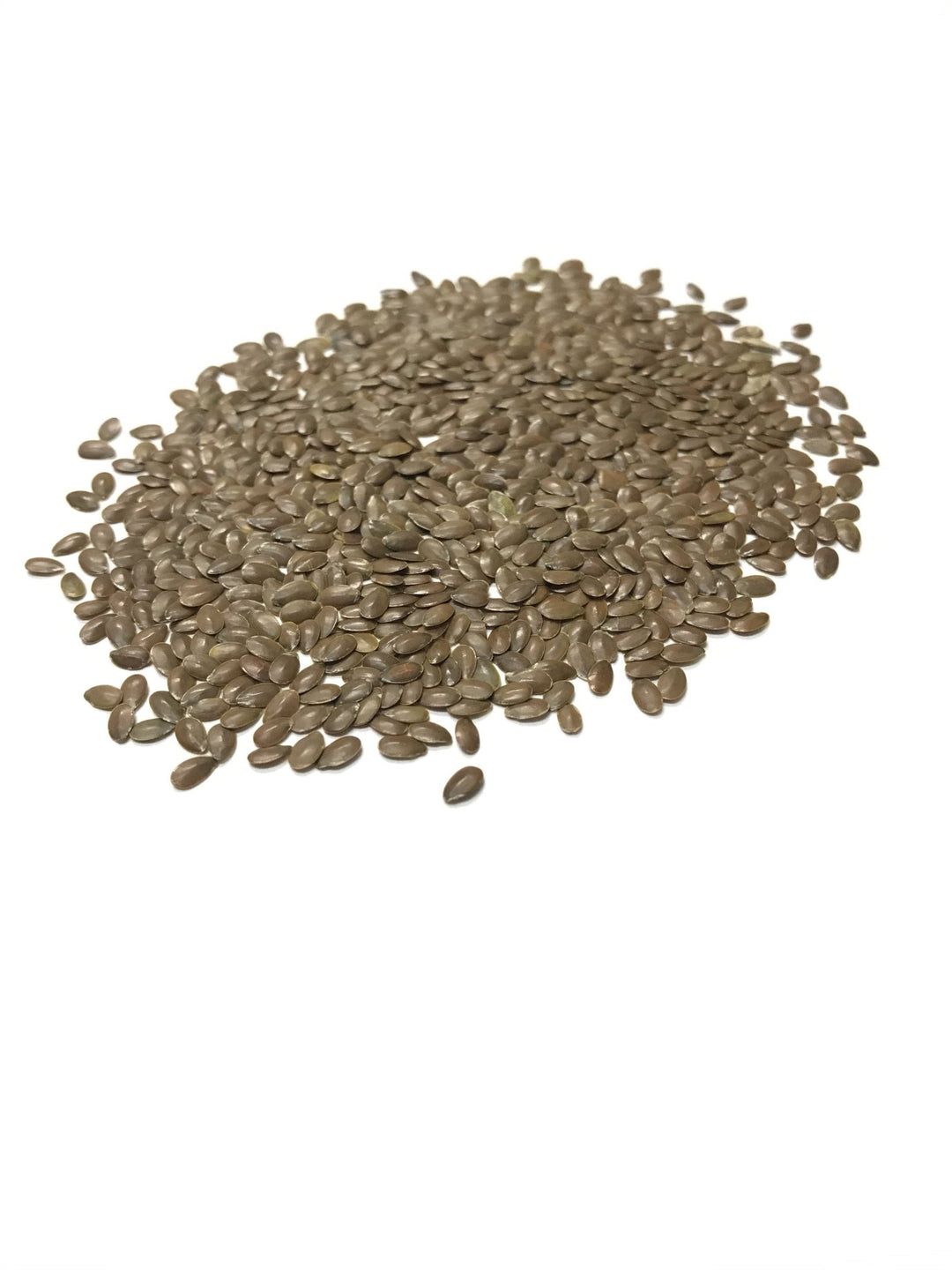 flax flower seed Scarlet Flax