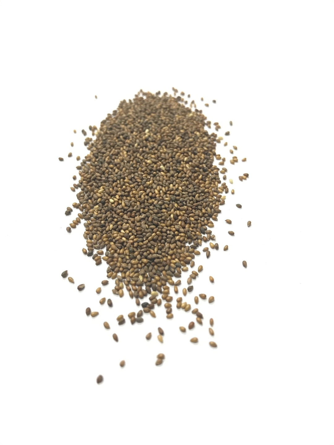 johnnys flower seeds Johnny-Jump-Up