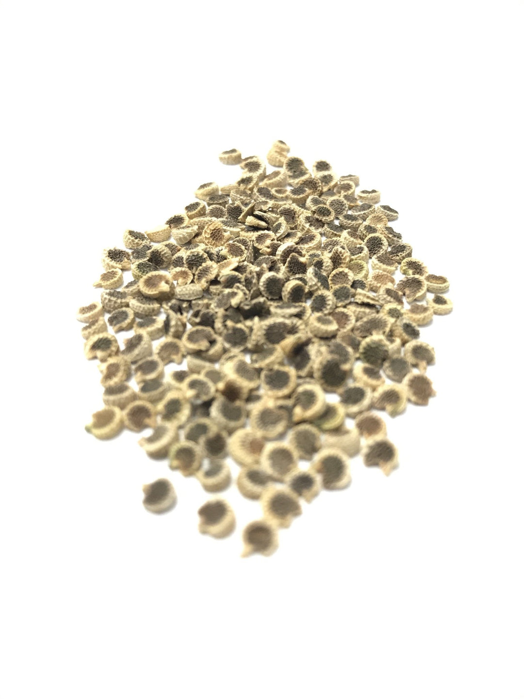 cup flower seeds Wine Cup